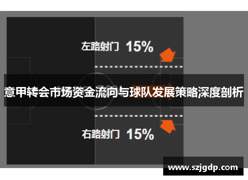 意甲转会市场资金流向与球队发展策略深度剖析 意甲转会市场资金流向与球队发展策略深度剖析